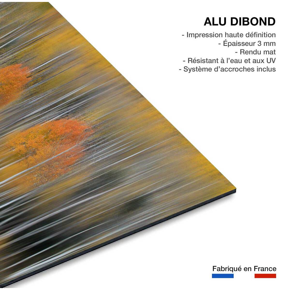 Tableau Impression d'automne Tableau alu Dibond