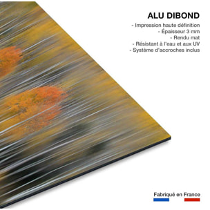 Tableau Impression d'automne Tableau alu Dibond