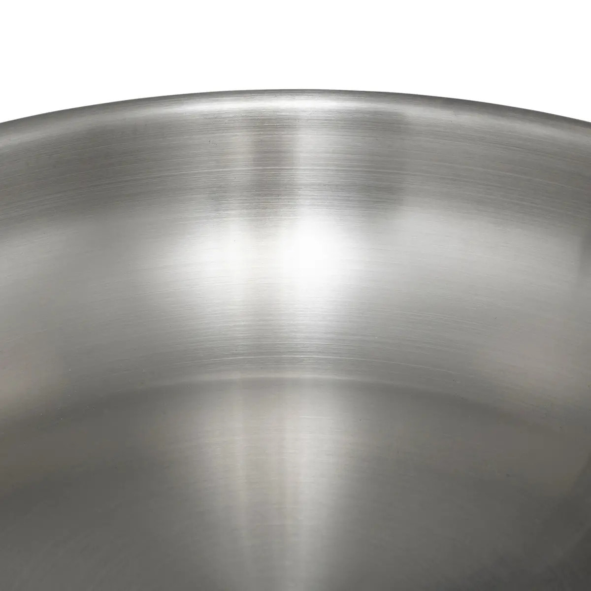 Poêle Inox 20 cm Resilience