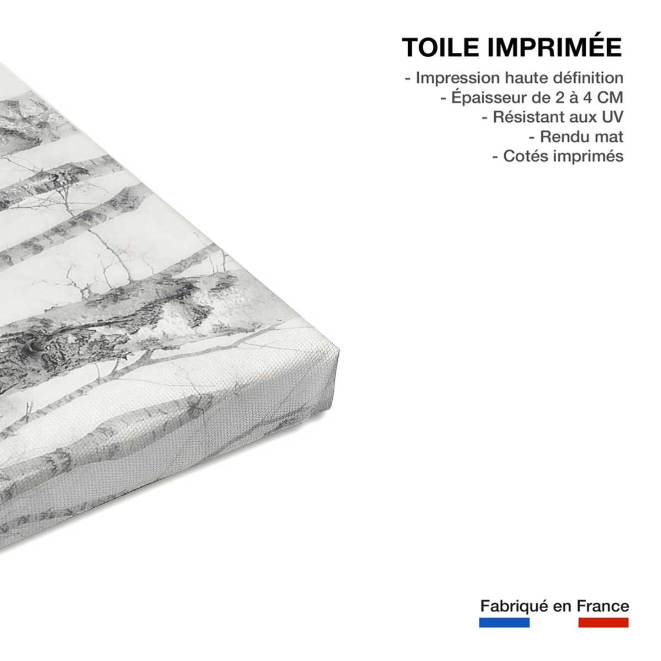 Tableau bouleaux en monochrome Toile imprimée