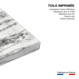 Tableau bouleaux en monochrome Toile imprimée