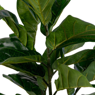 Ficus lyrata artificiale Fiddle Leaf Tree verde H 100 cm