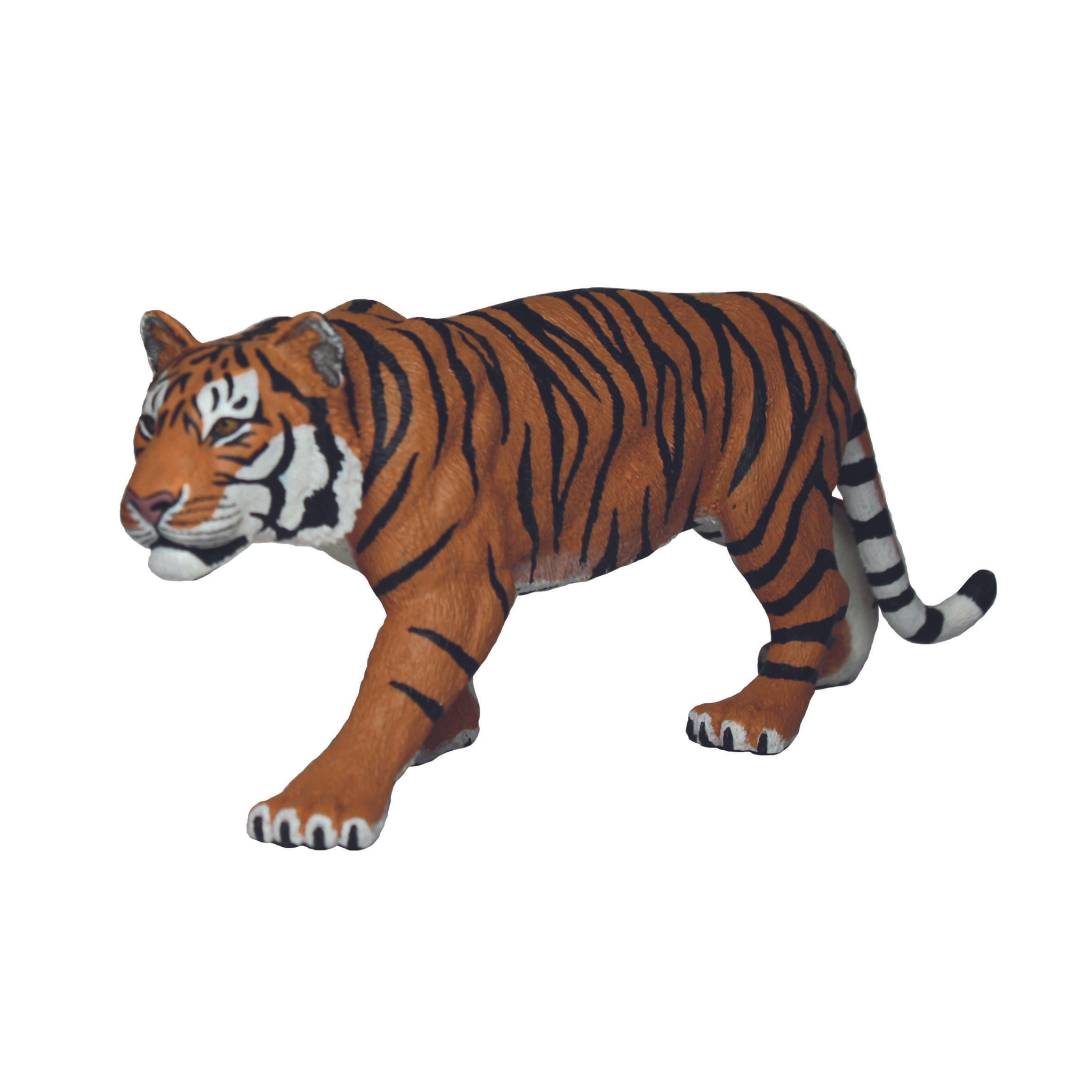 Safari/Tigre