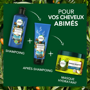 6 Après-Shampoings Huile d'Argan 200ml, Herbal Essences