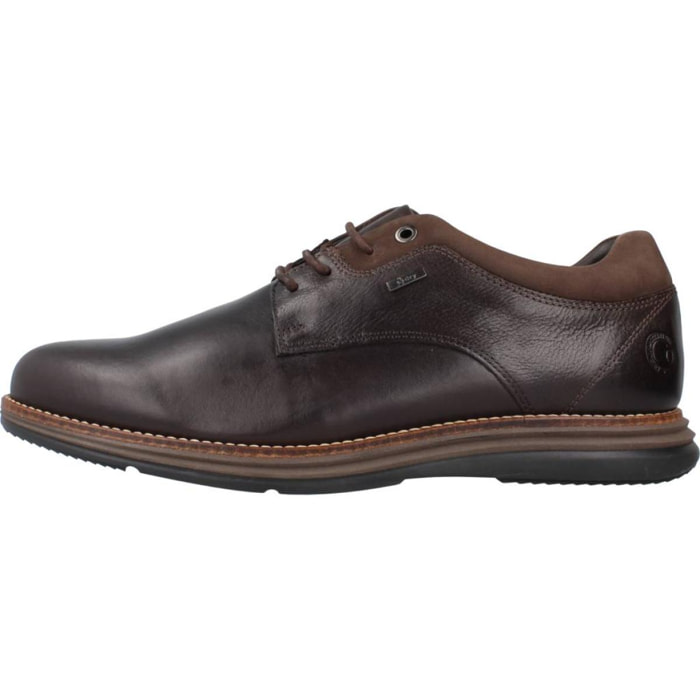 DERBIES - OXFORD CORONEL TAPIOCCA C2301 18