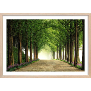 Affiche L'arbre Metasequoia Affiche + cadre en bois - Chêne