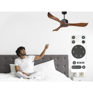 Ventilateur de plafond Réversible Lumière  Thermostat Wifi Moteur à courant continu Toits en pente Télécommande Adaptateur 2/3 Lames Hypersilence Mémoire 40   W Noir