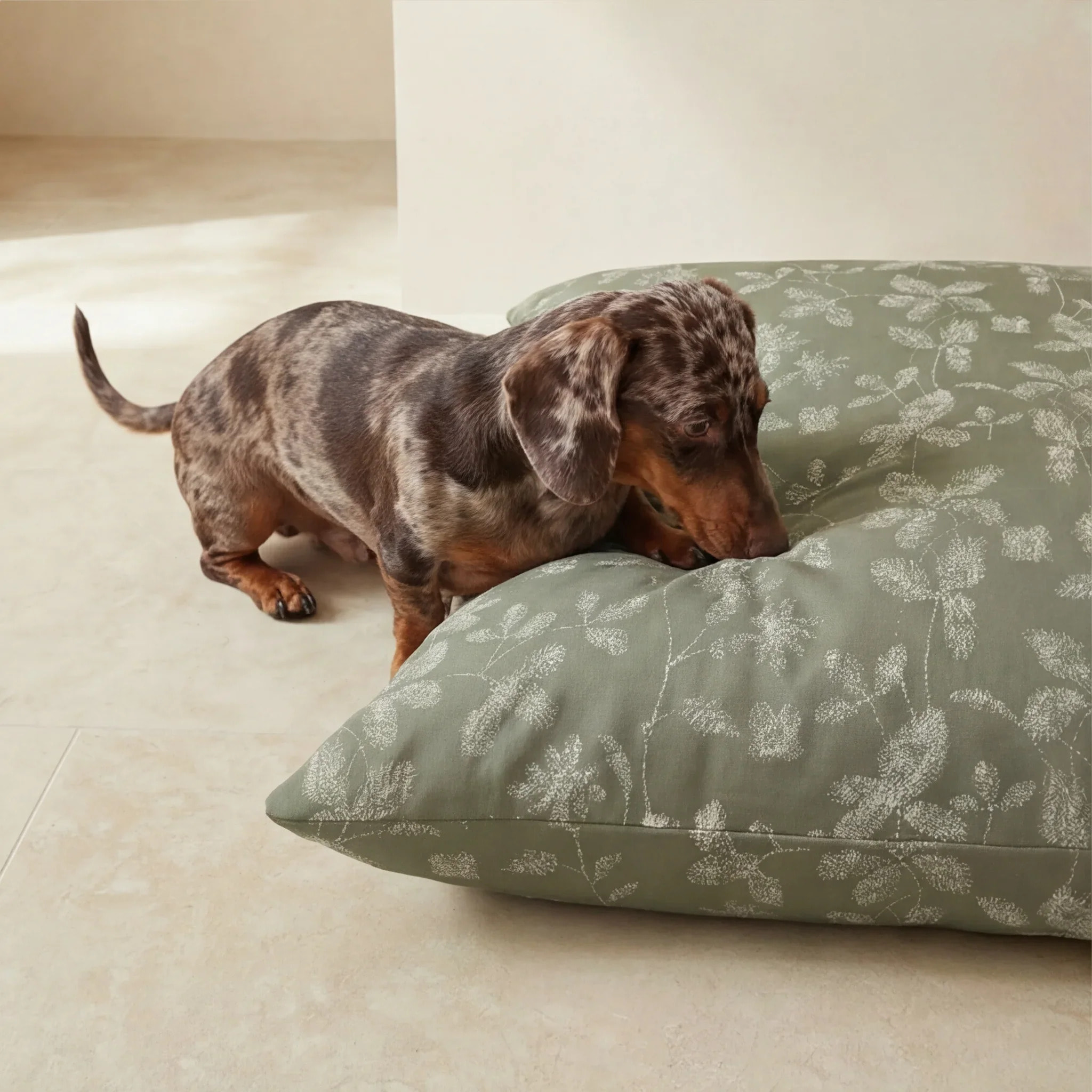 Housse antitaches pour lit pour animal Bolbaite