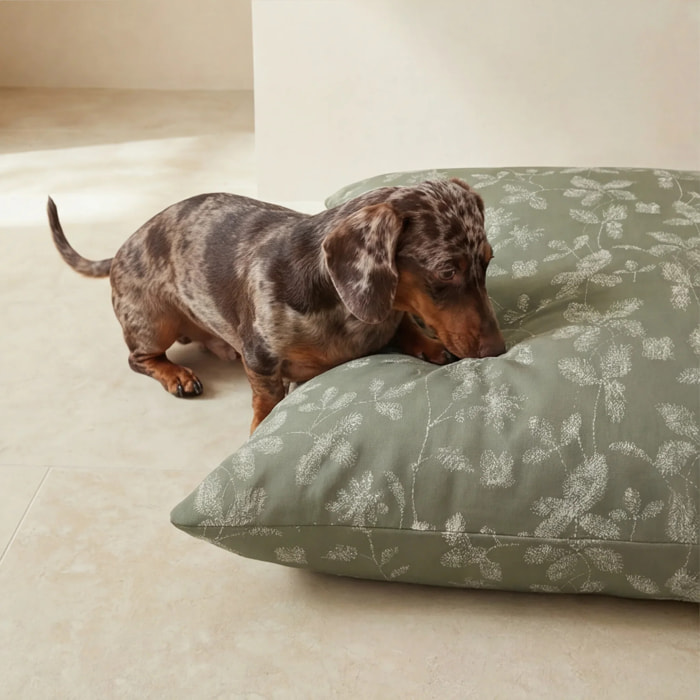 Housse antitaches pour lit pour animal Bolbaite