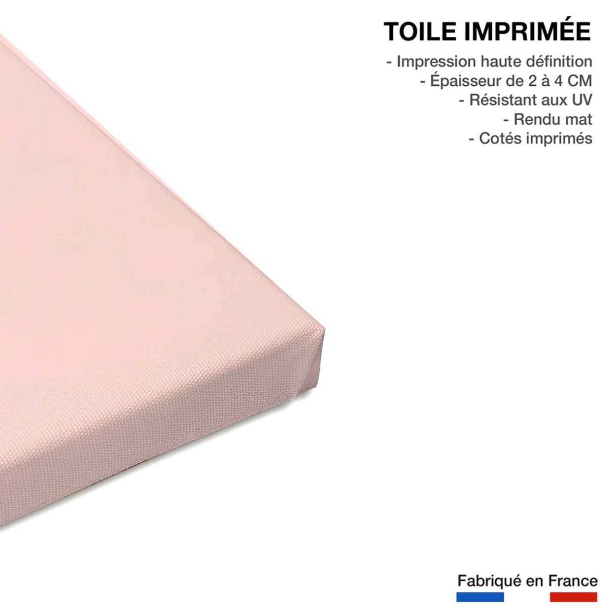 Tableau flamingo so girly Toile imprimée