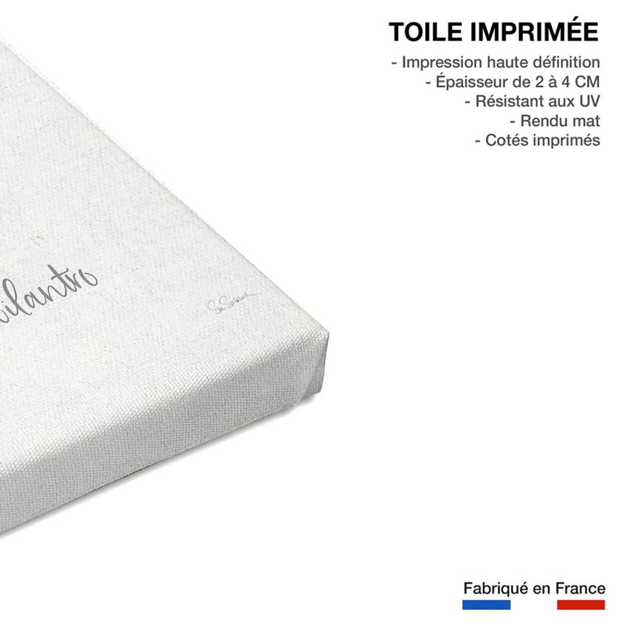 Tableau fleurs coriandre dessinée Toile imprimée