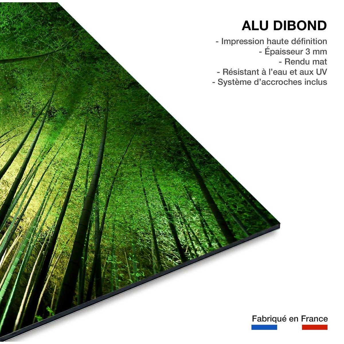 Tableau nature forêt de bambous à kyoto Tableau alu Dibond