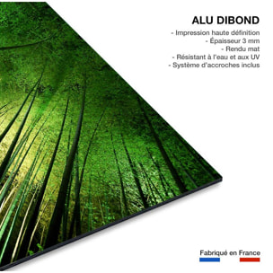 Tableau nature forêt de bambous à kyoto Tableau alu Dibond