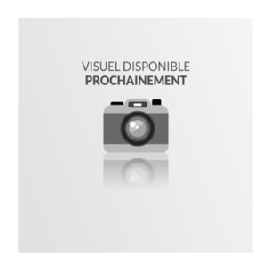 RAM 2Go DDR3L 1600 MHz PC3L-12800 – Barrette mémoire laptop basse consommation, mise à niveau simple