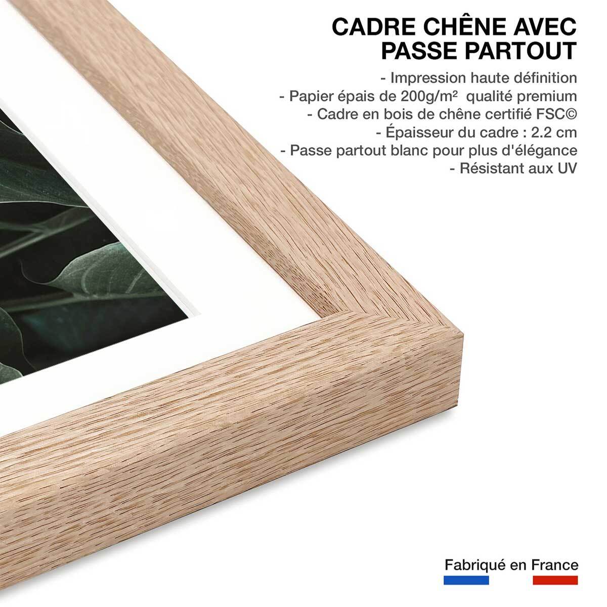Affiche green leaves Affiche + cadre en bois - Chêne