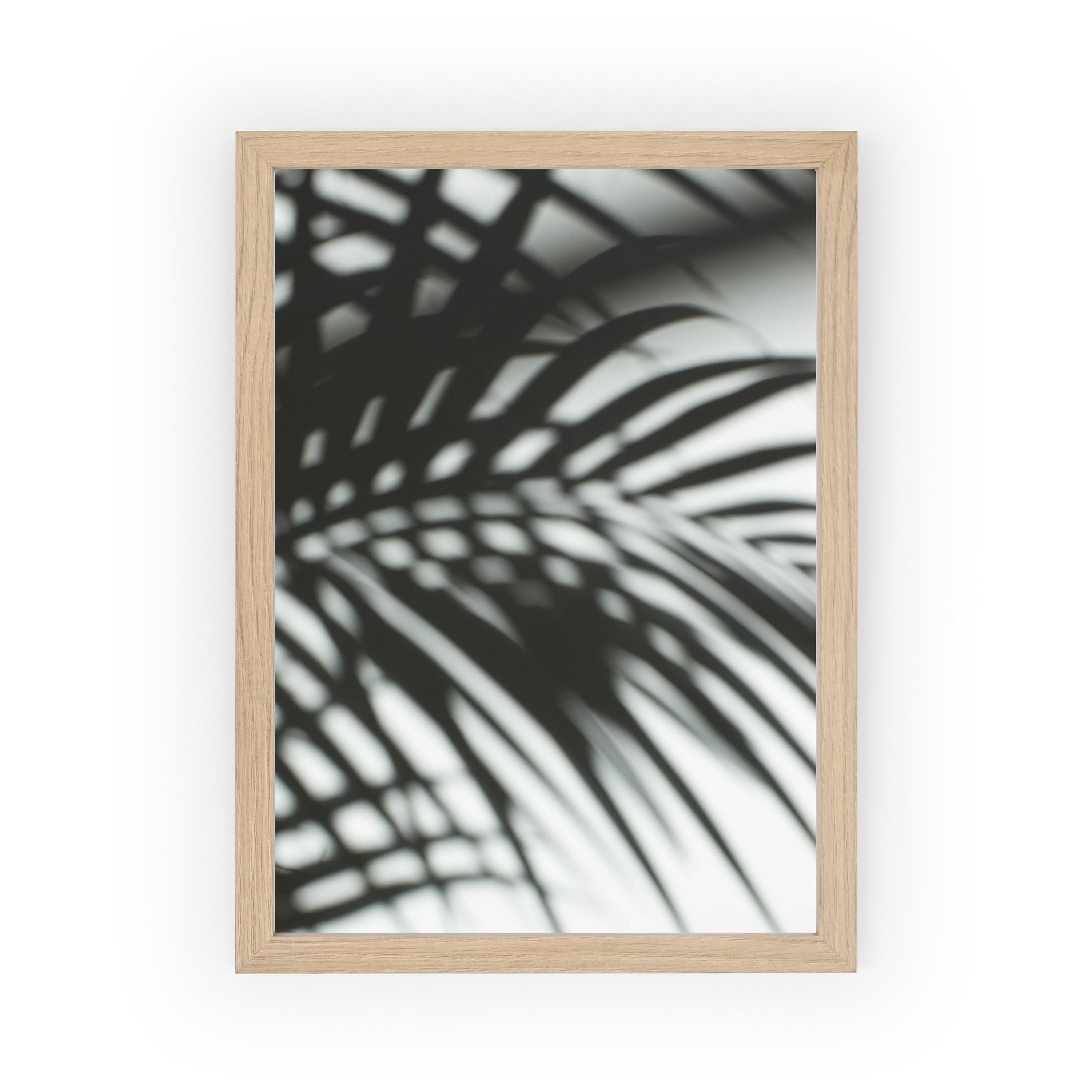 Poster Palm