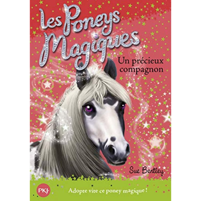 Bentley, Sue | Les poneys magiques - tome 12 : Un précieux compagnon (12) | Livre d'occasion