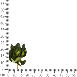 Aoenium Cactus. Altezza 19 Cm - Pezzi 4 - 19X25X19cm - Colore: Verde - Bianchi Dino - Piante Artificiali