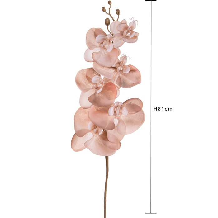 Phalenopsis Br/Gold. Altezza 81 Cm - Pezzi 4 - 13X81X12cm - Colore: rosa - Bianchi Dino - Articoli Natalizi