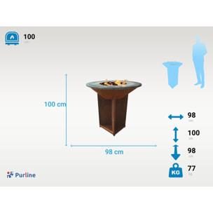 Barbecue con piastra in acciaio da 100 cm