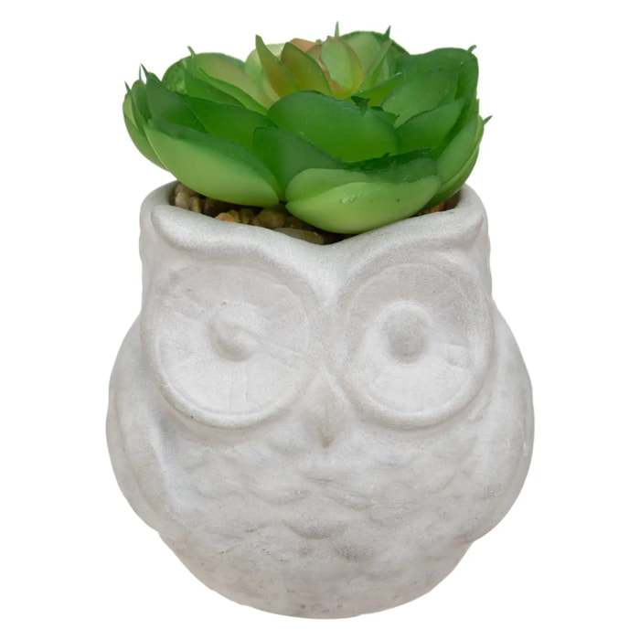 Succulente artificielle - pot en ciment - H8 cm