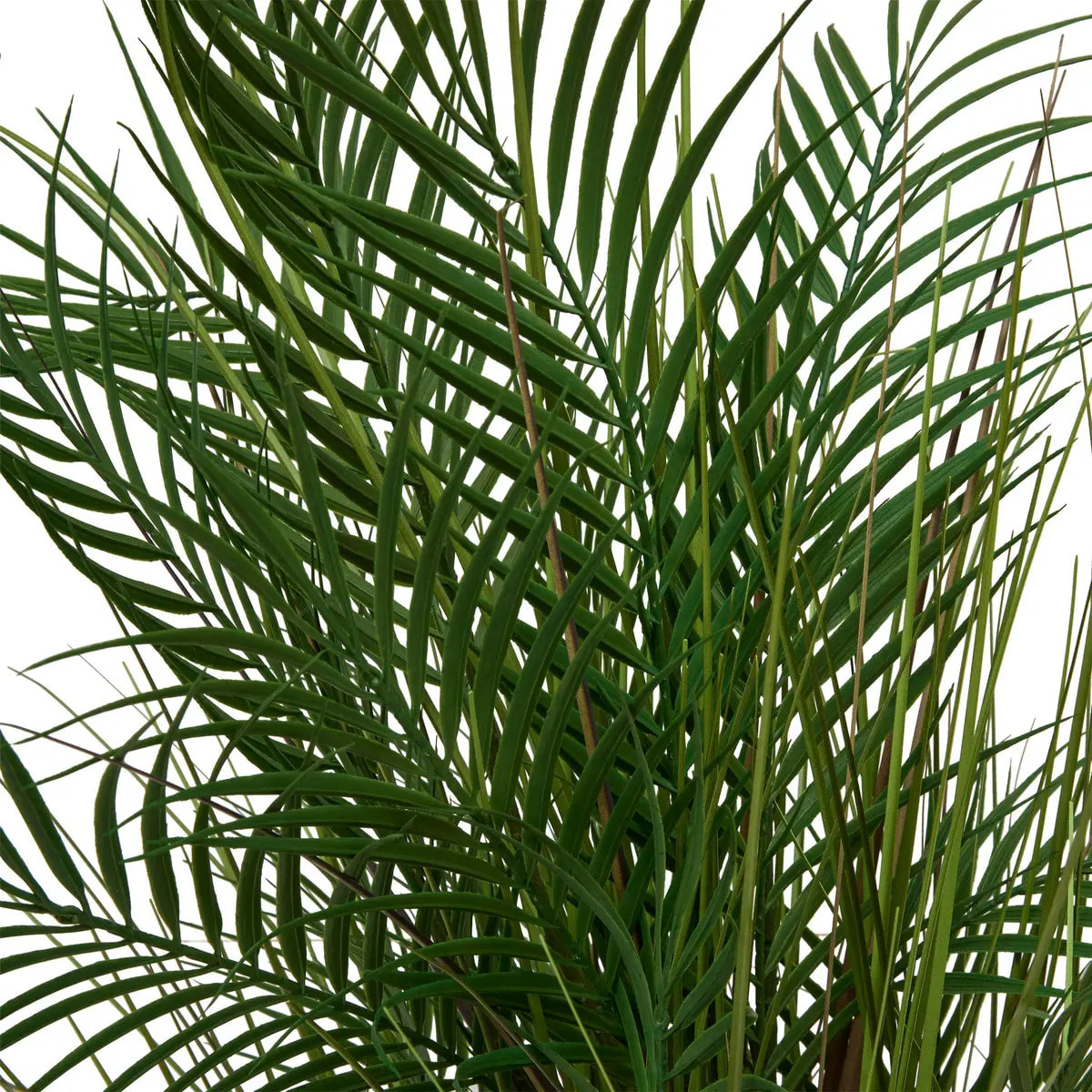 Palmier artificiel en pot Wonj H142cm