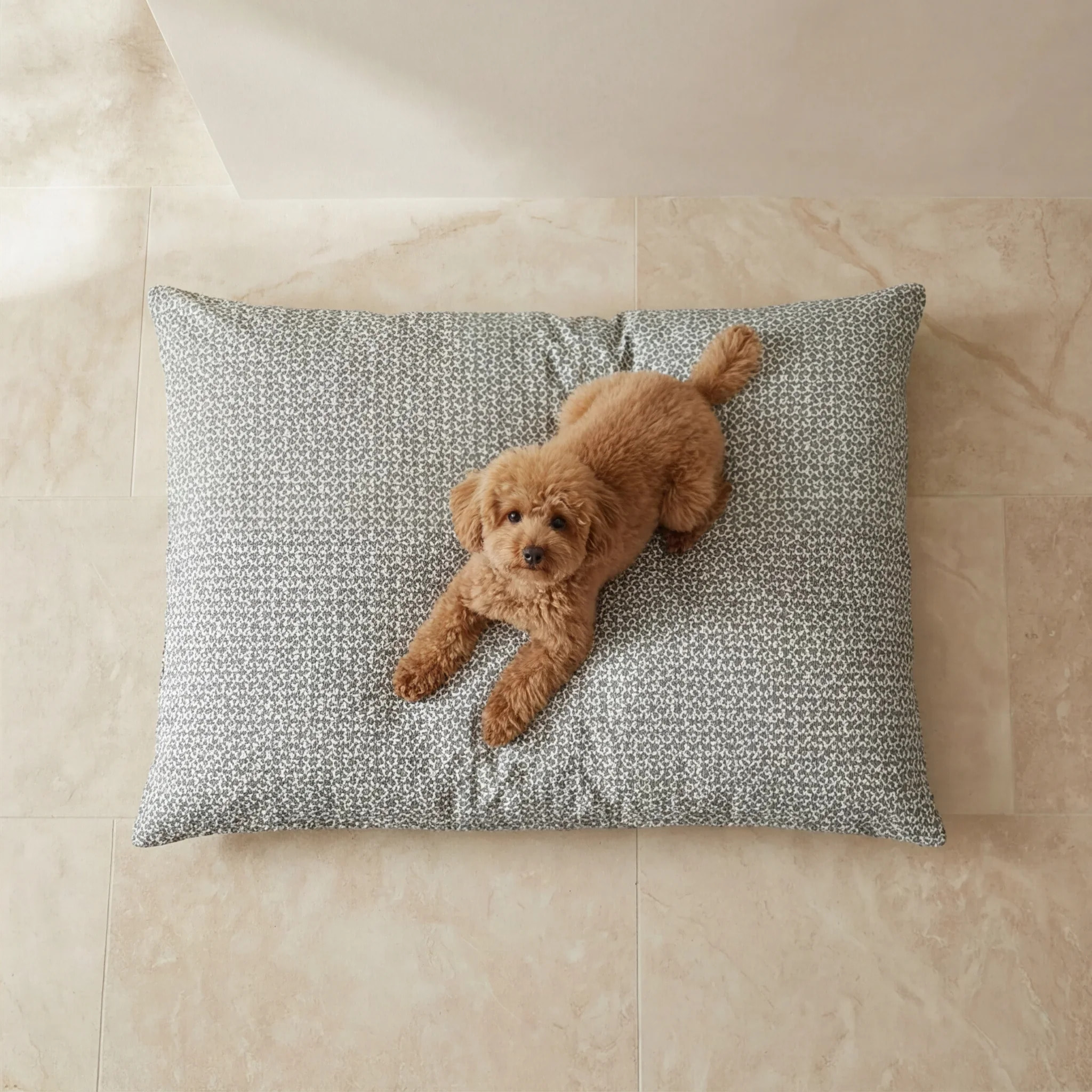 Lit pour animaux déhoussable et antitaches Monina Soft 10