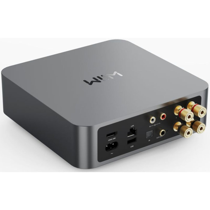 Amplificateur HiFi WIIM amp space grey