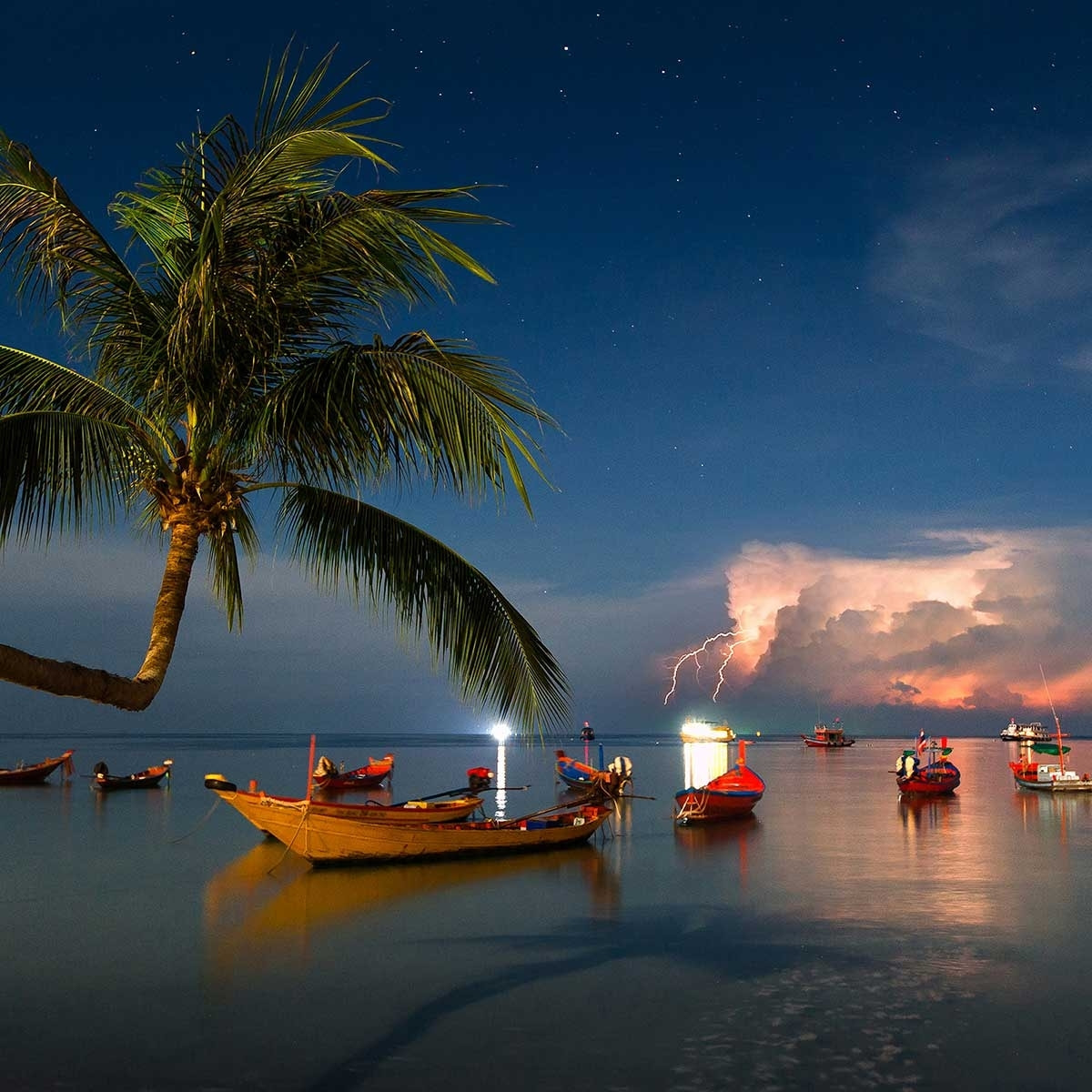 Tableau orgae sur koh tao Tableau alu Dibond