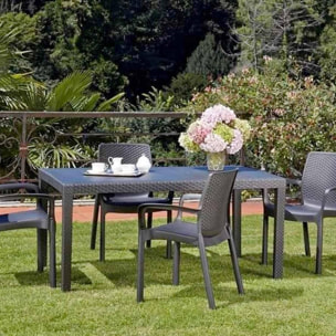 Regina - Set di 4 sedie da giardino in polyrattan impilabili. Sedie da pranzo con braccioli, poltrone da esterno colore bianco