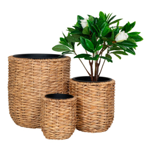 Vasi Hanoi in giacinto d'acqua naturale set 3 pezzi