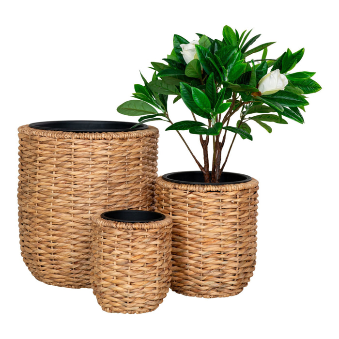 Vasi Hanoi in giacinto d'acqua naturale set 3 pezzi