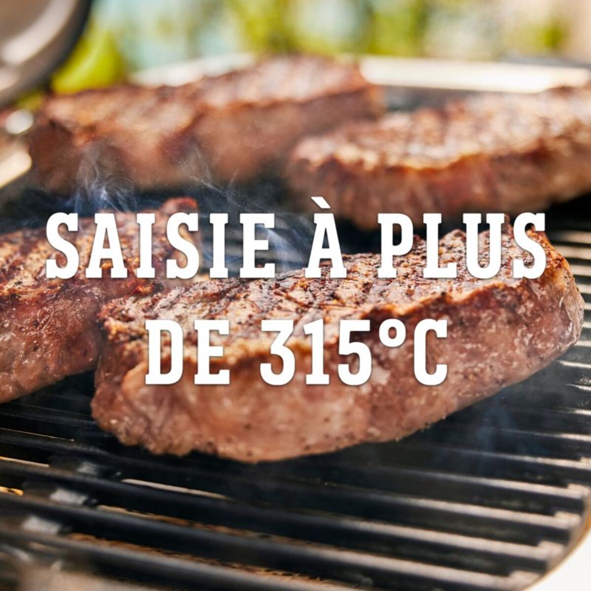 Barbecue électrique WEBER Electrique Lumin + plancha black