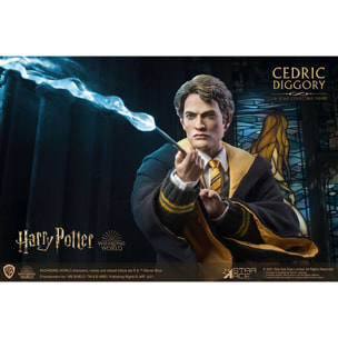 Harry Potter Action Deluxe Figure Cedric Diggory 30 cm 1/6 Star Ace