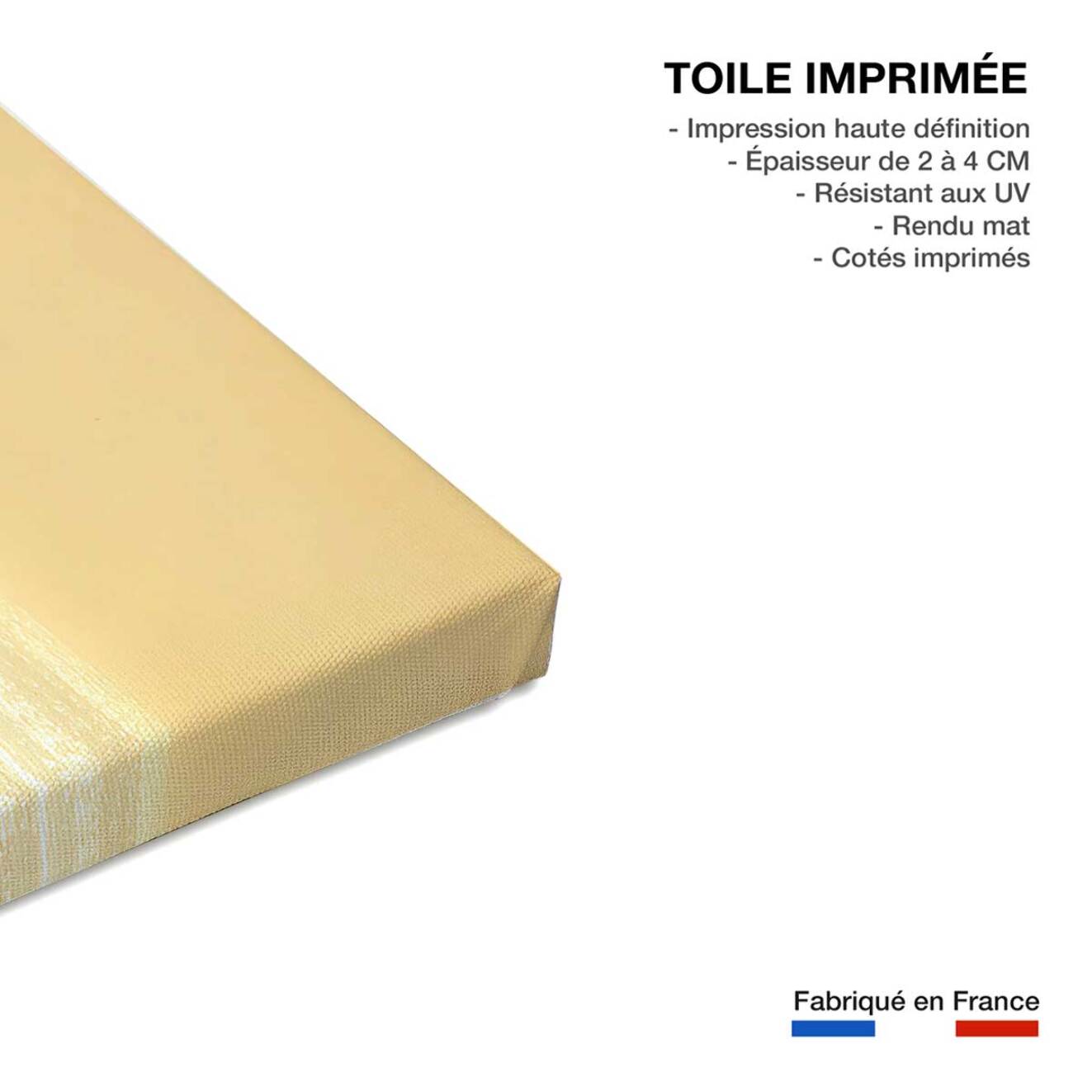 Tableau paysage ocean plage anglet  Toile imprimée