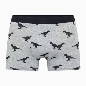 Boxer cotone Dinos
