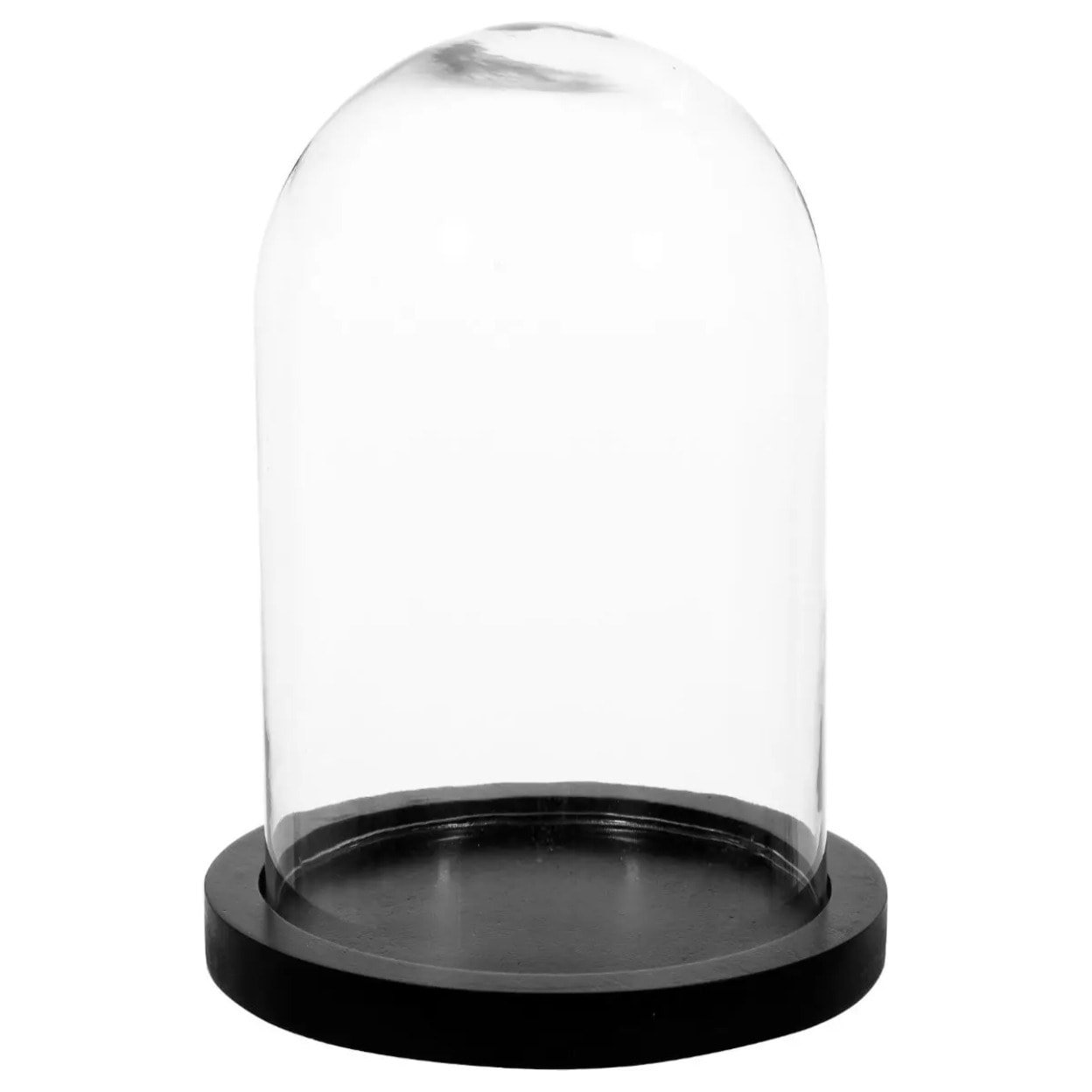 Cloche - verre et bois - transparent - H26 cm