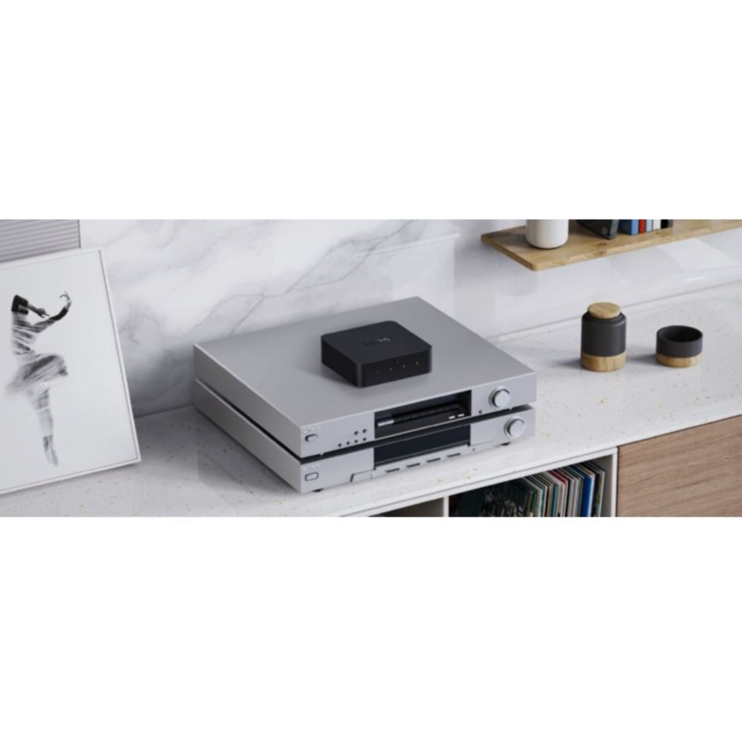 Lecteur réseau HiFi WIIM Pro +