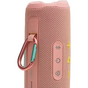 Enceinte portable JBL Flip 7 Rose