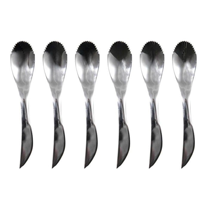 Set 6 cuillères Inox kiwi/pamplemousse