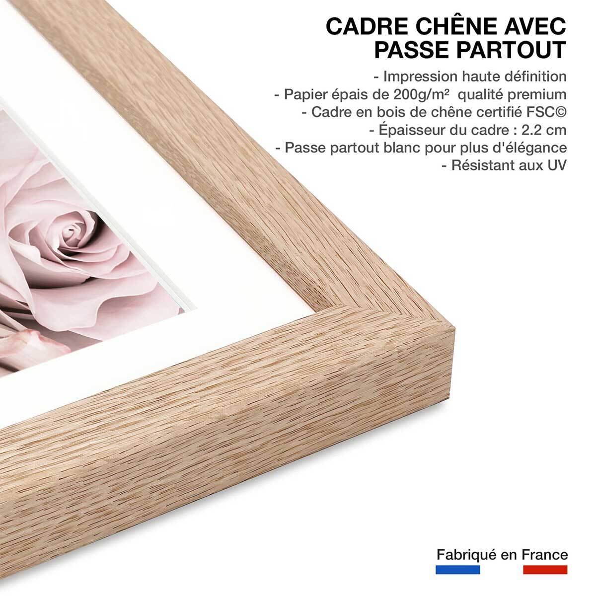 Affiche  rosa alba Affiche + cadre en bois - Chêne