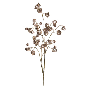 Ramo phisalis - Pezzi 6 - 22xH123x0,3cm - Bianchi Dino SpA