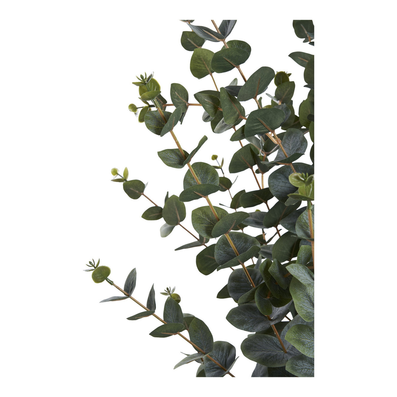 Eucalyptus Tree - Albero di eucalipto artificiale verde H120 cm