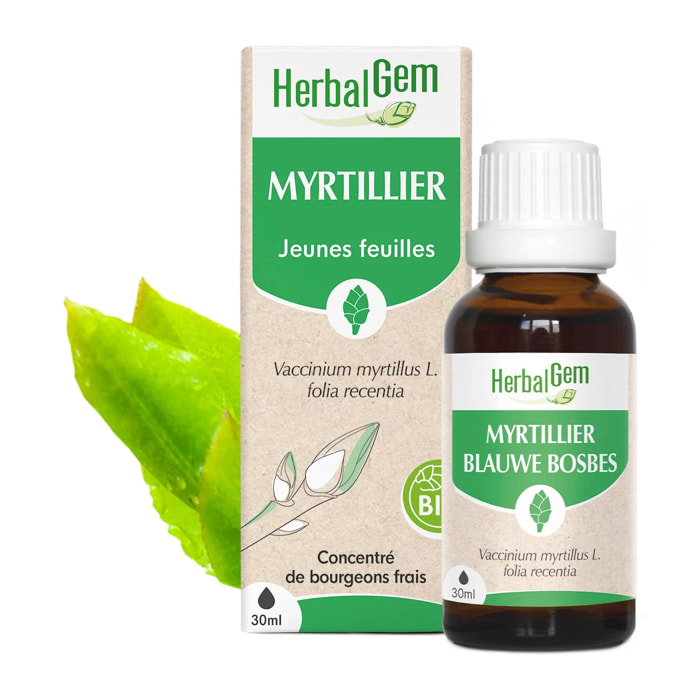 Herbalgem- Bourgeon de myrtillier - Bio - 30 ml