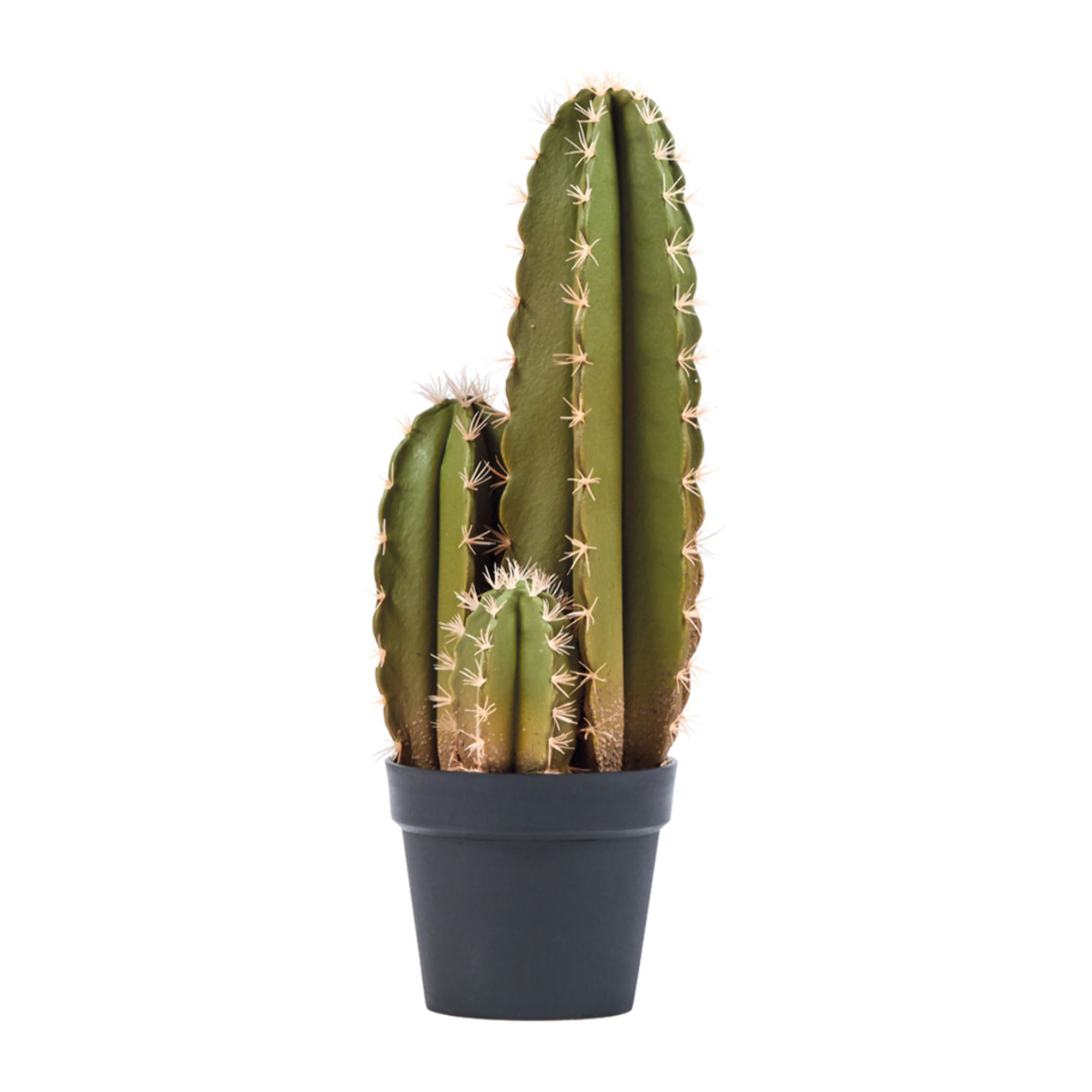 Cactus Artificial Organo 64 Cm