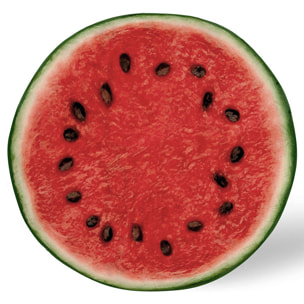 Coperta calda in flanella, 180cm design Anguria