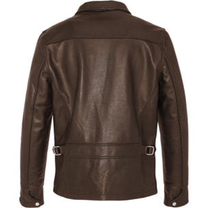 LC952 SHORT CLASSIC JACKET COWHIDE Marrone