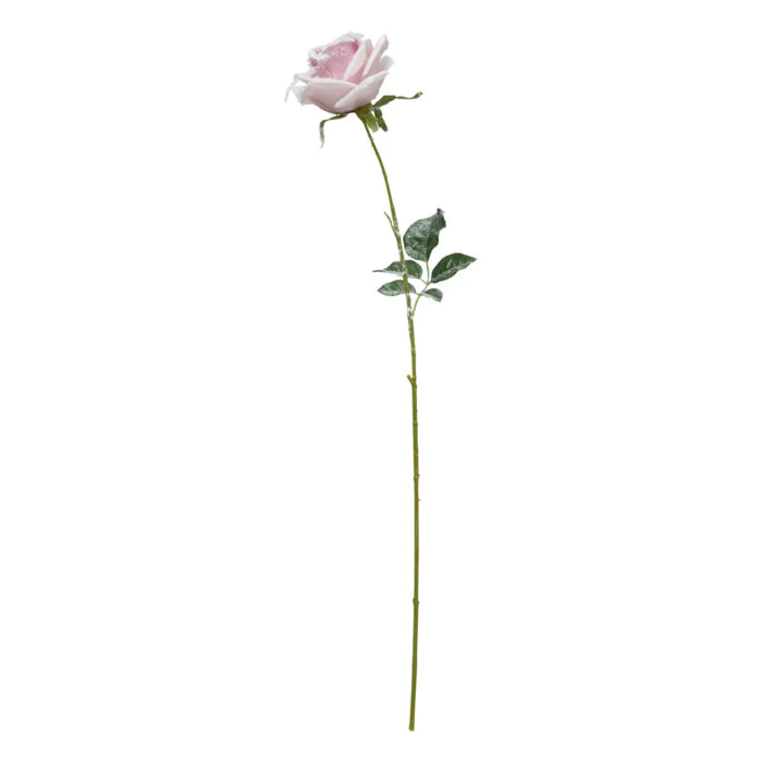Branche rose rose enneigée H62