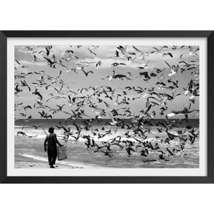 Poster festin de mouettes Affiche + cadre en bois - Noir