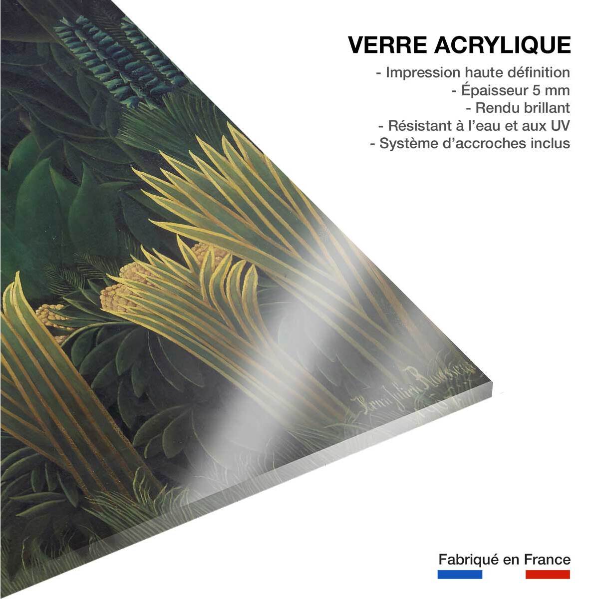 Tableau célèbre le Charmeur de Serpent d' Henri Rousseau Tableau plexiglas